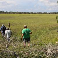 Screenshot 2024-05-15 at 1.26.57 PM.jpg Four people walking across a salt marsh