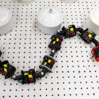 worm-research-robot.jpg Worm research robot